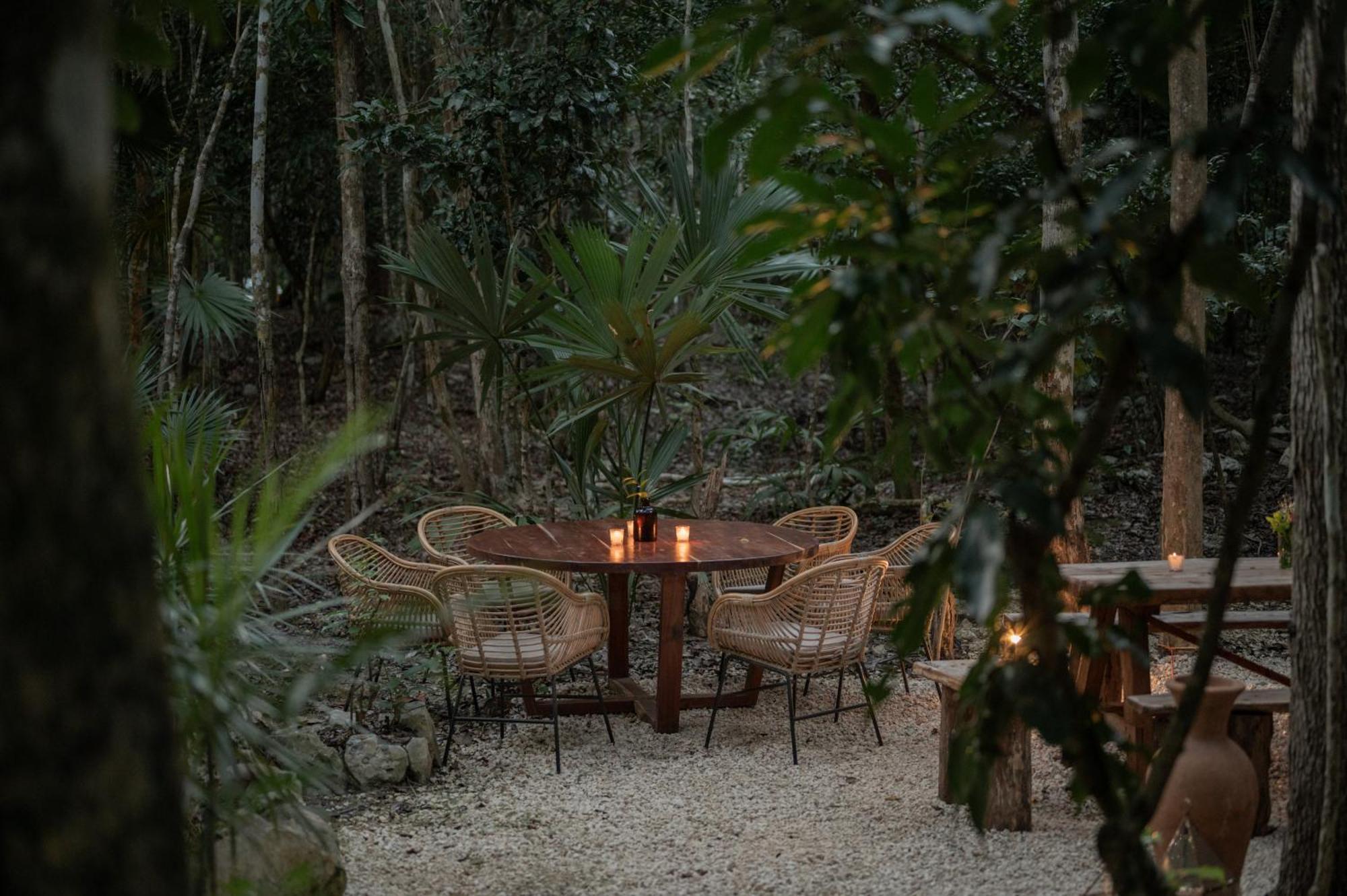 Naum - Secluded Villa With Private Cenote Tulum Luaran gambar