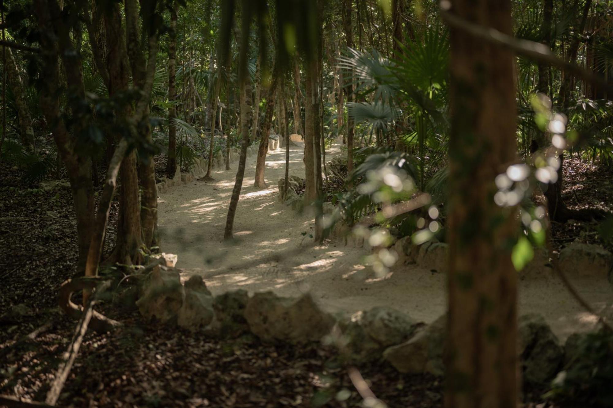 Naum - Secluded Villa With Private Cenote Tulum Luaran gambar