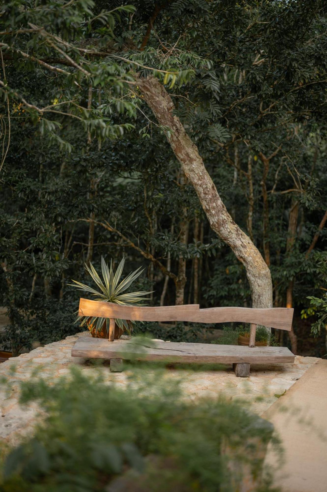 Naum - Secluded Villa With Private Cenote Tulum Luaran gambar